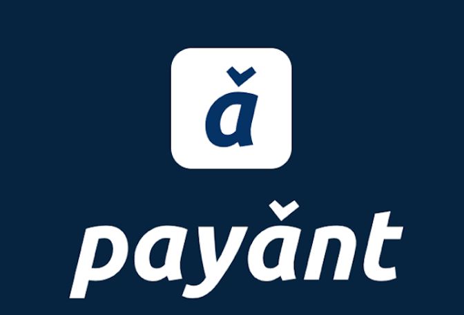 payant logo