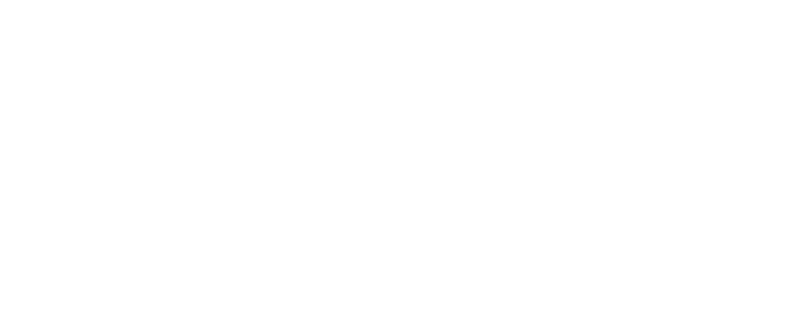 Irtus Consolidated